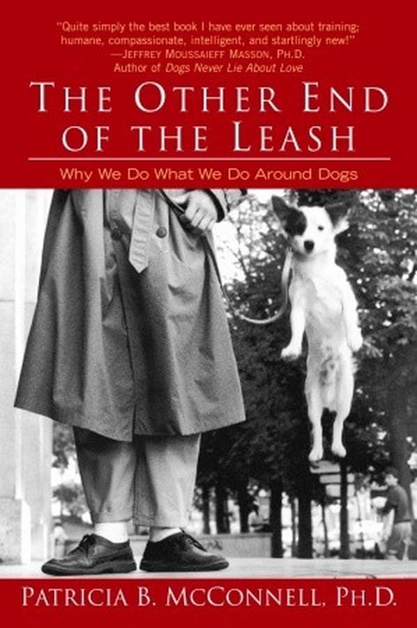 The-Other-end-of-the-leash