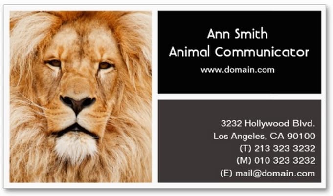 Animal communicator business card back