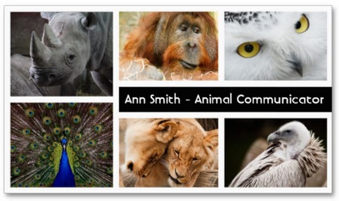 Animal-Communicator-business-cards-front