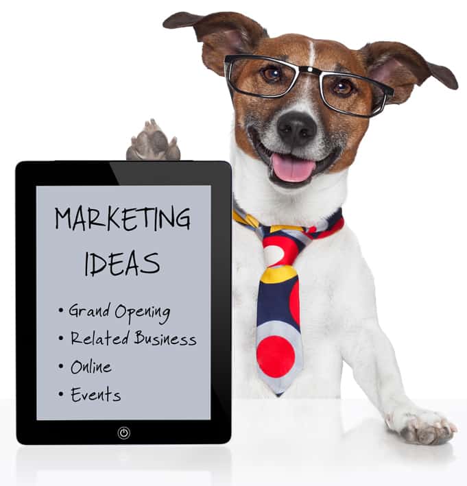 Marketing Your Business: 6-More-Marketing-Ideas
