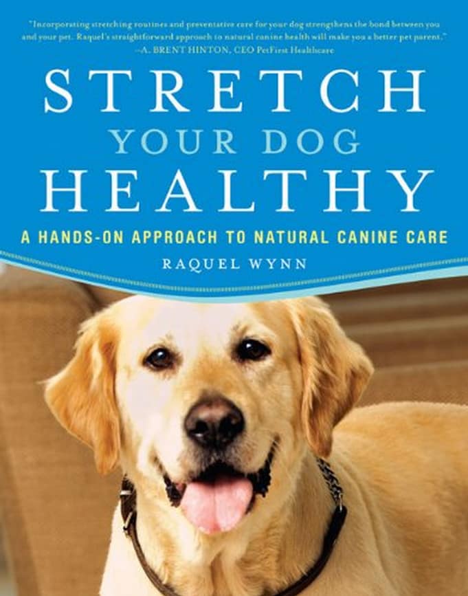 Stretch-your-dog-healthy
