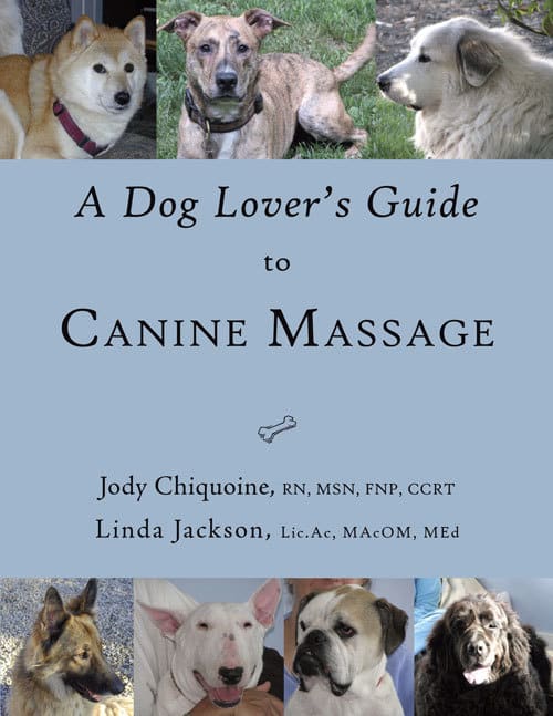 A-dog-lovers-guide-to-canine-massage-1