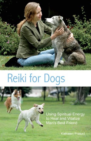 Reiki for dogs