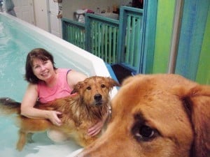 Canine Hydrotherapy - Mikfu and Capone