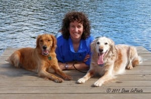 Healing Touch for Animals: Dawn LaPointe