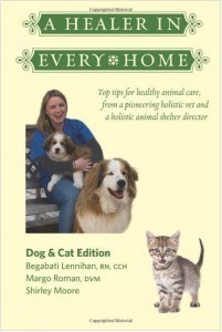 A healer in every home: Dog and cat edition