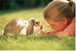 Girl and rabbit