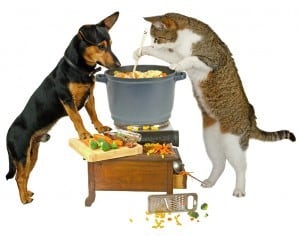 Home-cooked-food for dogs and cats