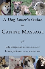 A dog lovers guide to canine massage