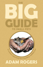 The Big Guide to Small Pets: A Modern Approach for a Healthy, Fulfilled Pet