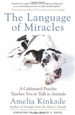 The Language of Miracles: A Celebrated Psychic Teaches You to Talk to Animals