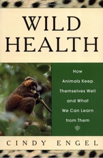 Good books: Wild Health - How animals heal themselves
