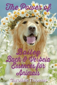 The Power of Bailey, Bach & Verbeia Essences for Animals