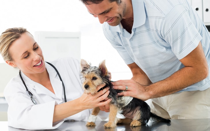How Offering Acupressure And Other Alternative Modalities Can Benefit Your Animal Clinic As Well As Your Patients Read more: http://animalwellnessguide.com/offering-acupressure-alternative-modalities-can-benefit-animal-clinic-well-patients/#ixzz3bkJJXeek