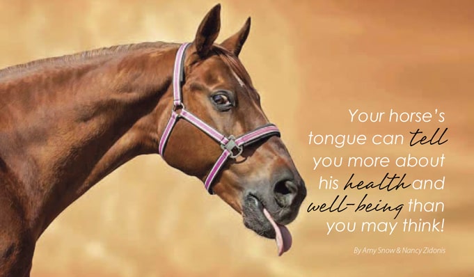 Chinese medicine and the equine tongue