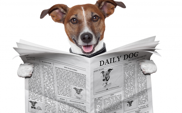 10 Ideas For Marketing Your Animal Health Business