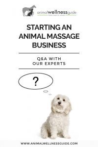 Q&A Starting an Animal Massage Business | Animal Wellness Guide