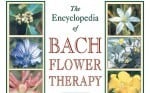Bach Flower Therapy: A Non-Invasive Treatment Method For Both Humans and Animals