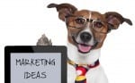 6 More Ideas For Marketing Your Animal Massage Business