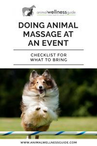 Checklist for What To Bring When Doing Animal Massage at an Event by Animal Wellness Guide