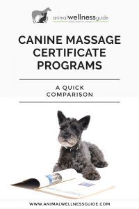 Comparison of Canine Massage Therapy Certificate Programs in the US by Animal Wellness Guide