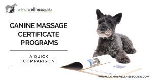 Comparison-of-Canine-Massage-Therapy-Certificate-Programs-in-the-US-by-Animal-Wellness-Guide-TW