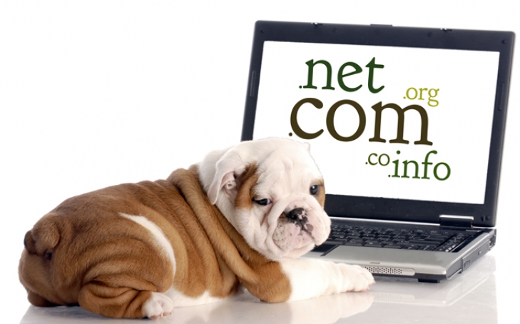 How To Start A Blog Part III: Domain Names and Web Hosting