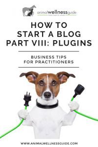 Business for Practitioners: How to Start a Blog Part 8 - Plugins by Animal Wellness Guide
