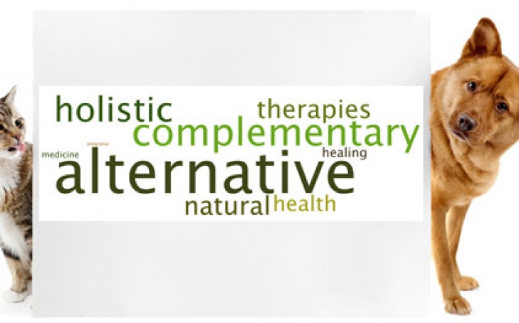 New Series: Alternative Therapies