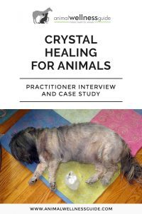 How To Use Crystal Healing With Animals Animal Wellness Guide