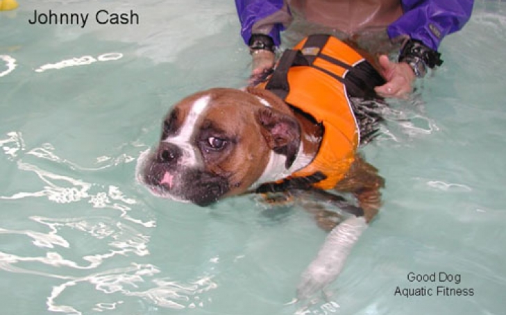 AWG Guest Post Series: Good Dog Aquatic Fitness
