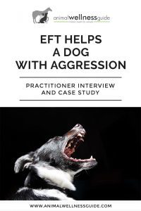 EFT Tapping Therapy Helps a Dog with Aggression Animal Wellness Guide