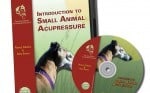 Introduction To Small Animal Acupressure