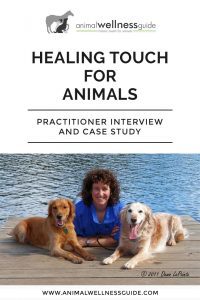 Healing Touch Therapy for Animals Animal Wellness Guide