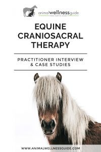 Equine Craniosacral Therapy Animal Wellness Guide