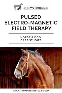 PEMF Pulsed Electro-Magnetic Field Therapy by Animal Wellness Guide