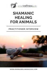 Shamanic Healing for Animals Animal Wellness Guide