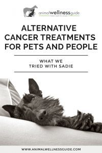 Alternative Cancer Treatments For Pets And People by Animal Wellness Guide