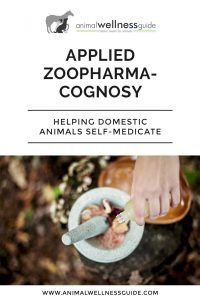 Applied Zoopharmacognosy Helping Domestic Animals Self-Medicate by Animal Wellness Guide