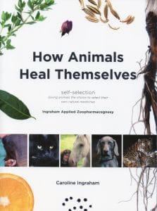How Animals Heal Themselves