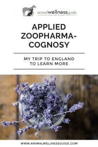 Applied Zoopharmacognosy & My Trip to England | Animal Wellness Guide