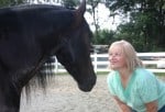 Excerpt from ACU-HORSE: A Guide to Equine Acupressure