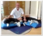 Animal Massage Therapist – “Best Job In The World”? Absolutely!