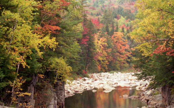 What Are You Excited About This Fall?