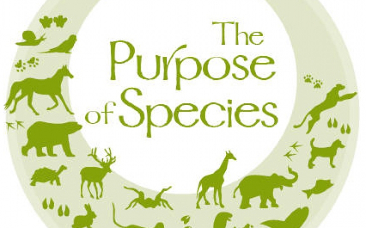 The Purpose Of Species – How Each Animal Species Has A Part To Play In Who We Are And How We Experience The World Around Us