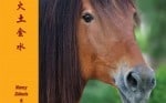 Excerpt from the new Acu-Horse: A Guide to Equine Acupressure