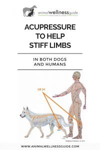 Canine And Human Help for Stiff Limbs Animal Wellness Guide