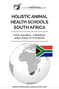 Holistic Animal Health Schools in South Africa by Animal Wellness Guide