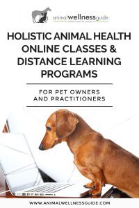 Holistic animal health online classes and distance learning programs by Animal Wellness Guide