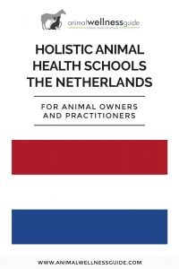 Holistic Animal Health Schools in The Netherlands | Animal Wellness Guide
